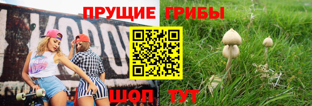 Псилоцибиновые грибы Psilocybe  Галлюциногенные грибы ЛСД  Калач-на-Дону  Вход с VPN 